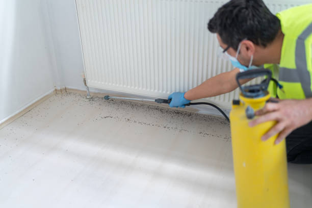 Best Mosquito Control Services  in Mill Valley, CA